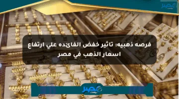فرصة ذهبية: تأثير خفض الفائدة على ارتفاع أسعار الذهب في مصر